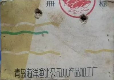 魚肝油與檔案整理 串起時光的味蕾與記憶